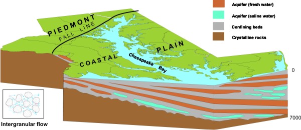 Coastal Plain hydrogeology